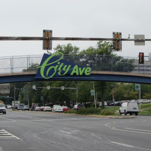 Tree service in Bala Cynwyd showing the City Ave sign